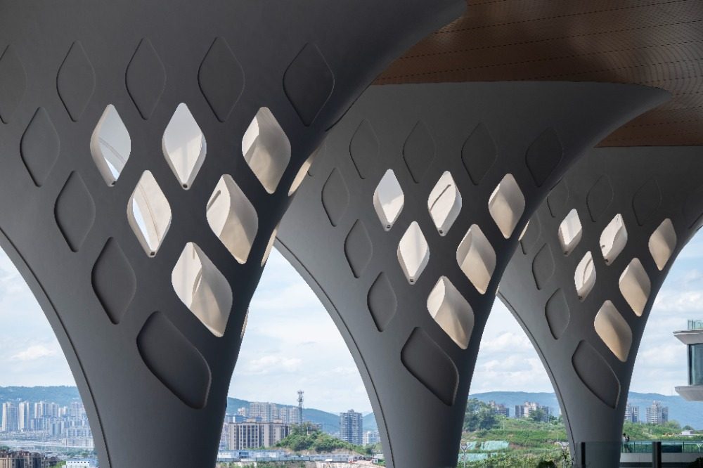 1751619630555.jpeg 1313.jpeg